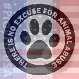 Meet your Posher, Gena